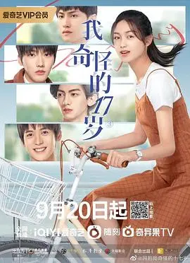 我奇怪的17岁³ 海报
