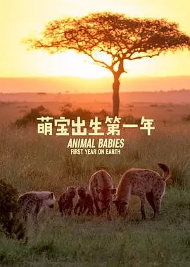 萌宝诞生记：新生儿第一年的爱与挑战，新手爸妈必看！