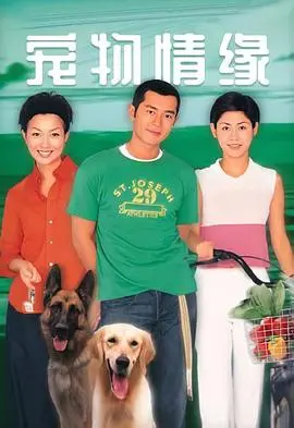 《宠物情缘国语》：爆笑又温馨！人与萌宠的奇妙之旅，治愈你的不开心