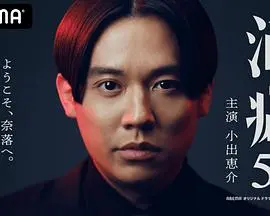 《酒癖50》：中年危机下的微醺人生，一场自我救赎之旅