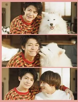 《爱你汪汪》：萌宠治愈与温情羁绊，一部关于爱与成长的感人佳作