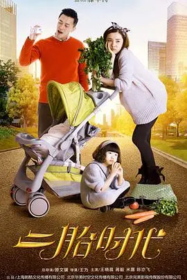 《二胎时代》：家庭新篇章，欢笑泪水交织，探索二孩家庭的真实生活与挑战